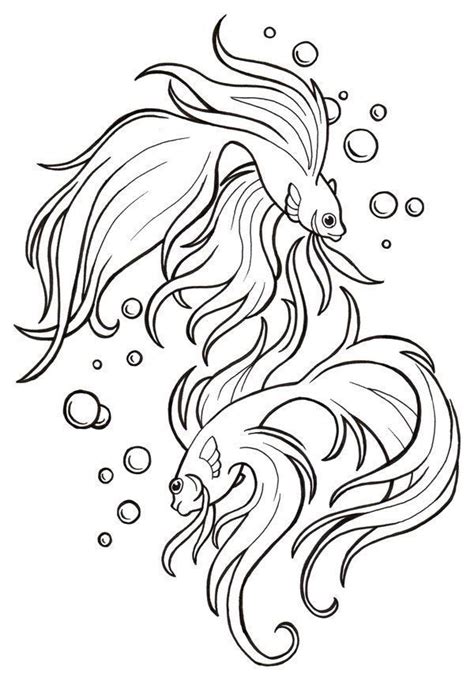 Betta Fish Coloring Pages Best Coloring Pages For Kids