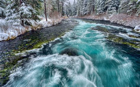 Blue Stream Winter Forest : r/pics