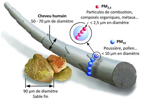 Illustration De La Taille Des Particules Fines Adapt De Barnes Et