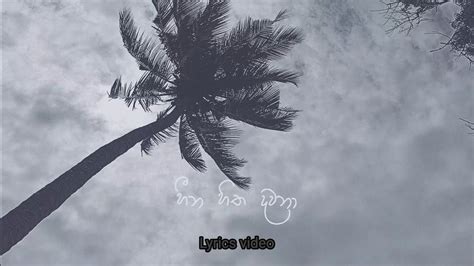 Dhyan Hewage And Pasan Liyanage Hithawanthi හිතවන්තී Lyrics Video