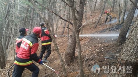 포천시 관인면 사정리 산불 발생 50여분 만에 진화