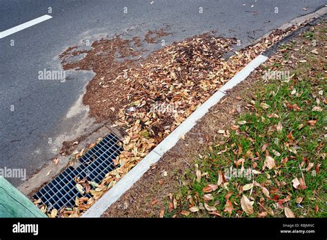 Storm Drain Clogged Hi Res Stock Photography And Images Alamy