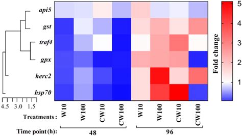 Heatmap Visualization Of Gene Expression Analysis In L Polyphemus