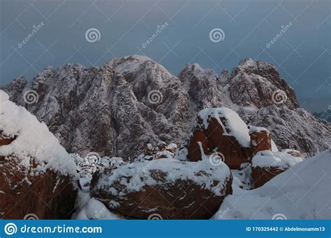 Snow St Catherine South Sinai Stock Photo Image Of Glitter Forest