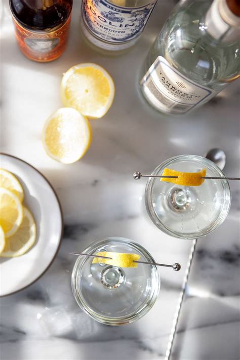 Gin Martini Recipe
