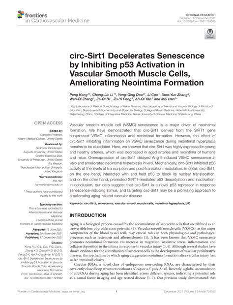 PDF Circ Sirt1 Decelerates Senescence By Inhibiting P53 Activation In