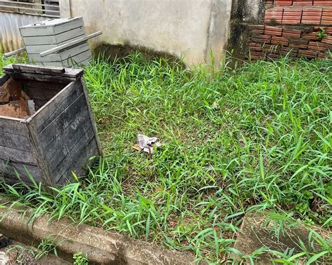 Bebê encontrado ao lado lixeira foi abandonado por um homem e não pela