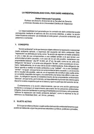 La Responsabilidad Civil Por Dano Ambiental Valenzuela Pdf