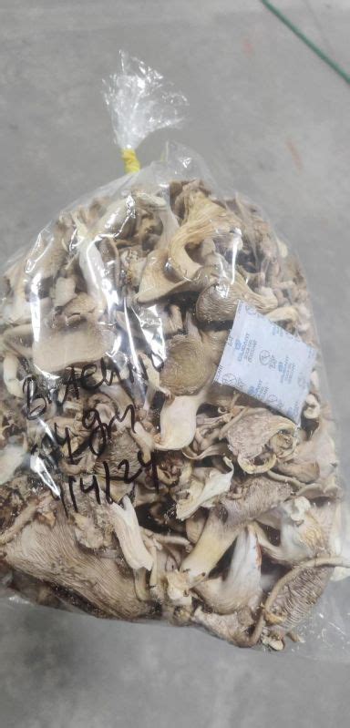 Dry Oyster Mushroom Shelf Life 6 Months At Rs 800 Kilogram In