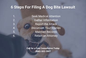 6 Steps For Filing A Dog Bite Lawsuit - Weinberg Law Offices P.C.