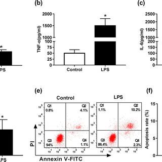 MiR 150 5p Expression Was Reduced By LPS In RAW264 7 Cells RAW264 7