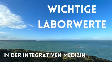 Interessante Und Wichtige Laborwerte Aus Der Integrativen Medizin YouTube