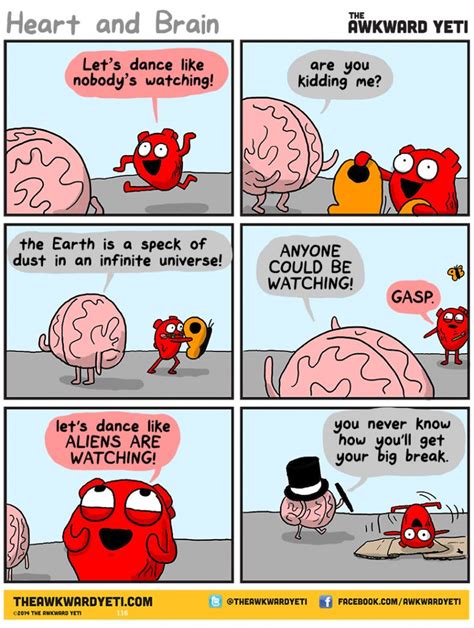 13 best Funny Brains images on Pinterest | Awkward yeti, Funny things ...