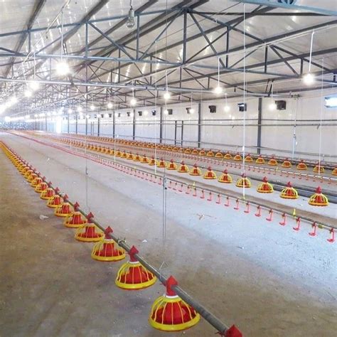 Automatic Poultry Farm Equipment Broiler Farming Pan Feeding System For