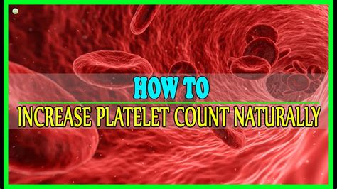 How To Increase Platelet Count Naturally Best Home Remedies Youtube