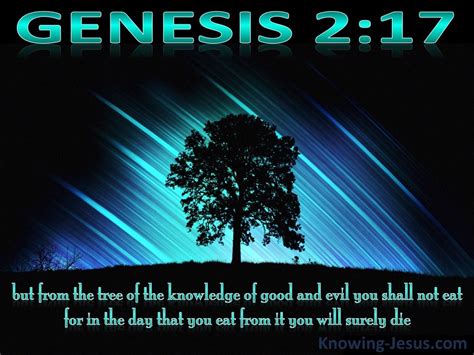 Genesis 217 Tree Of Knowledge Of Good And Evil Black