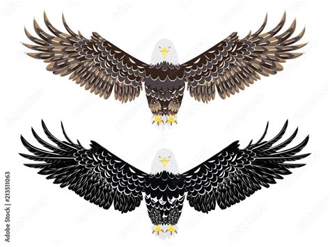 Stylized Bald Eagle Stock Vector Adobe Stock