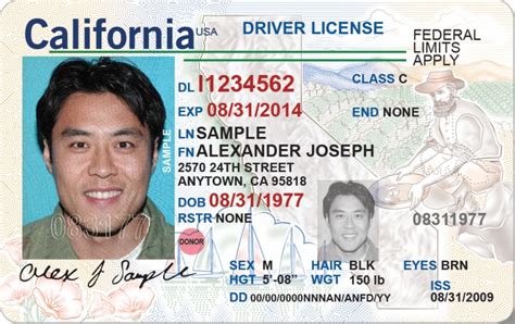 What Is A Driver S License Class At Sara Bobb Blog