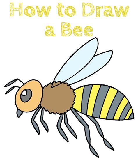 How To Draw A Realistic Bee Bee Drawing Bee Sketch Honey Bee Drawing