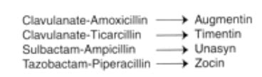 Antibiotic Resistance Flashcards Quizlet