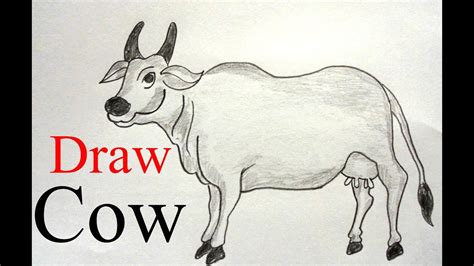 How To Draw A Cow