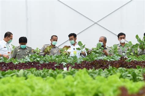 Cetak SDM Pertanian Andal Kementan Luncurkan Smart Green House Agrozine