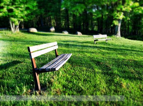 James Neiss Photography Chair Obsession Lonely Park Benches