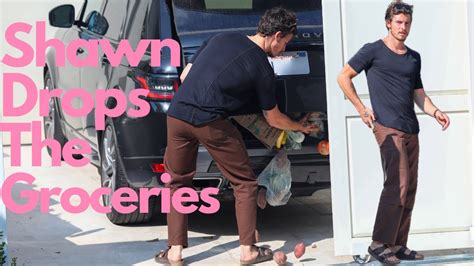 Shawn Mendes Groceries Fall Out Of His Trunk While Unloading At His