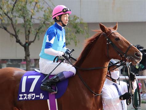 【先週のjra抹消馬】ターコイズs2着馬エスポワール、2着15回キャスパリーグ、良血馬プリュスなど 競馬ニュース