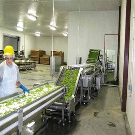 vegetable processing plant   price  ghaziabad  niti