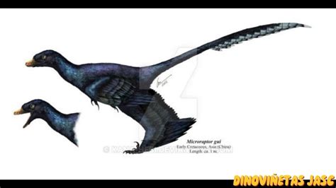 Dinopedia Microraptor Zhaoianus Youtube