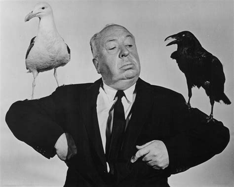 Alfred Hitchcock Alfred Hitchcock Movies Alfred Hitchcock The Birds