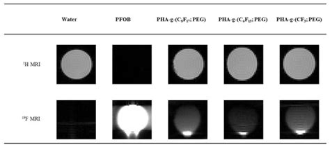 Bioengineering Special Issue Nano Based Drug Delivery System