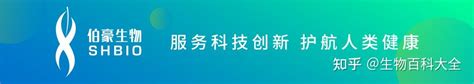 里程碑 Science系列21篇论文齐发，共绘最新最全“脑细胞图谱” 知乎