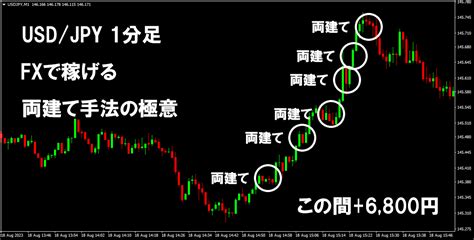 【未使用】【fx両建ての極み】 Fxの両建てによるトレード手法 スマホやmt4でも可能 サインツール不要のスキャルピングやデイトレードの手法の