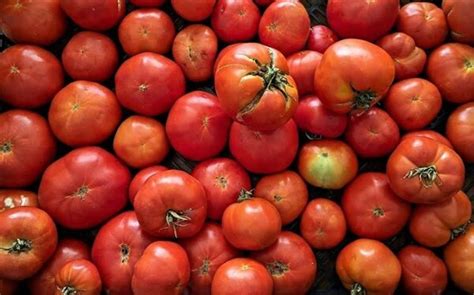 The Red Hot Tomato The Peasant Wife The Peasant Wife