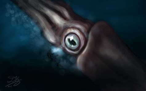 Speedpaiting Giant Squid By Dkaz On Deviantart Giant Squid Squid Giants