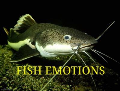 Post 710153850533855232 Hot And Sexy Old Man Zuko Tumblr Tumbex