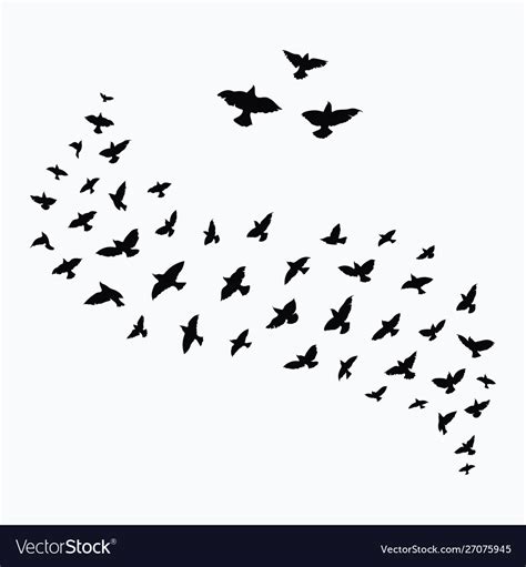 Silhouette A Flock Birds Black Contours Royalty Free Vector