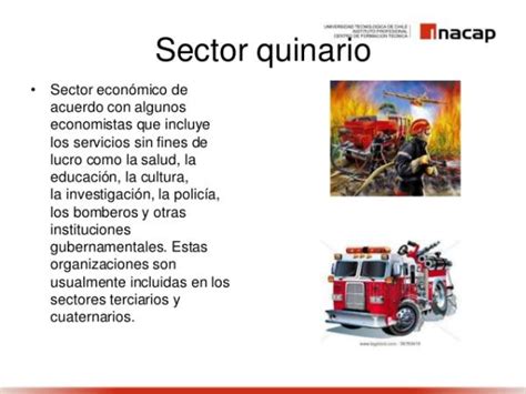 Sector Quinario Ejemplos Y Caracter Sticas Resumen