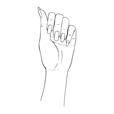 Premium Vector Hand Gestures Outline Vector Illustration Womens Girls