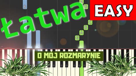 O mój rozmarynie Piano Tutorial łatwa wersja NUTY W OPISIE