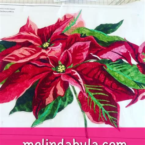 Melinda Bulaits Never Too Early For Christmas Poinsettias Youtube