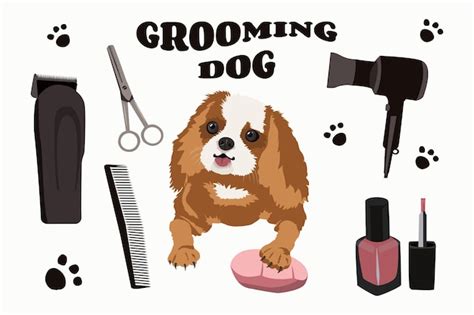 Premium Vector Dog Grooming Set Of Vector Cartoon Objects