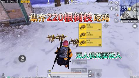 和平精英：挑战极寒模式，集齐“220根树枝”吃鸡，无人机耍敌！高清1080p在线观看平台腾讯视频