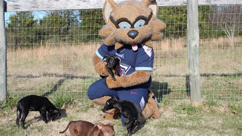 PHOTOS: Titans' T-Rac pays visit to animal shelter in Maury County