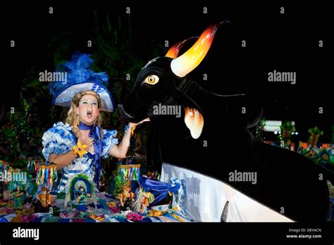 Download this stock image Boi Bumbá Festival A singer performs next