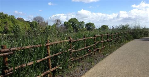 In Bici Per Roma Pista Ciclabile Roma Fiumicino Lungo Il Tevere