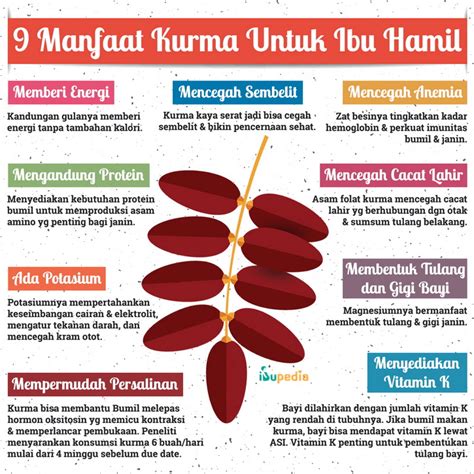 9 Manfaat Kurma untuk Ibu Hamil - Infografis - Ibupedia