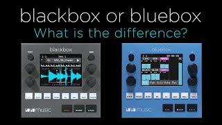 Music Blackbox Compact Sampling Studio Guitar Center